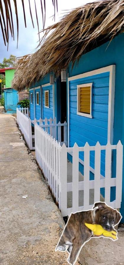Barahona La Casita De Mary 빌라 외부 사진